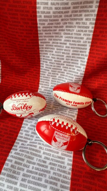 The only footy you can take everywhere you go 👀New keyring available online now 🔑🐶