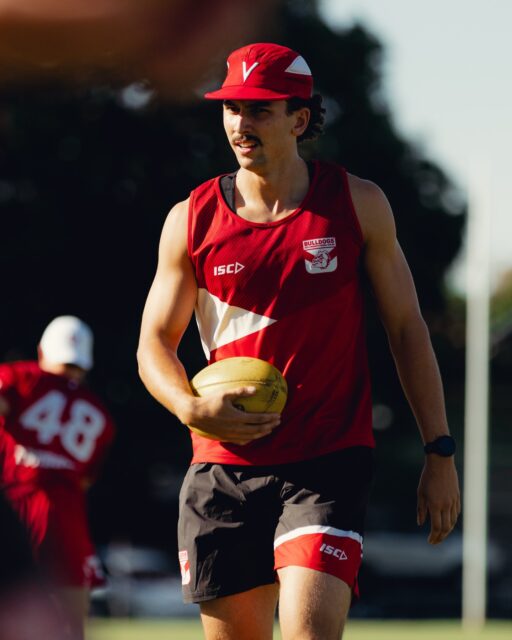 Dogs building 🐶 💪