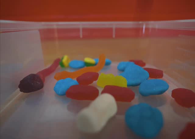 POV: Training day lolly box