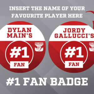 Player Badges - No 1 Fan