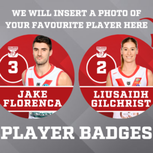 Player Badges - Image