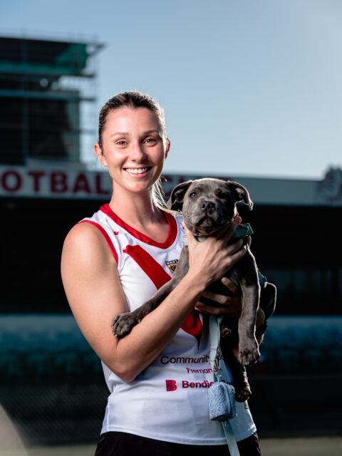 happy international dogs day 🫶love from your favourite bulldogs
